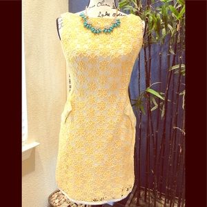 Elegant and cute Lace Dress